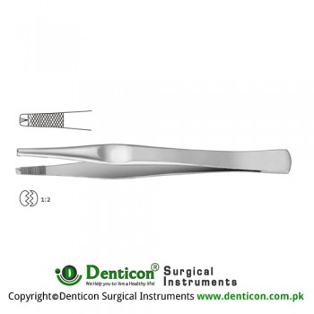 Lane Dissecting Forceps 1 x 2 Teeth Stainless Steel, 14.5 cm - 5 3/4"